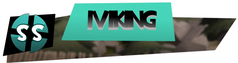 iVikiing0002