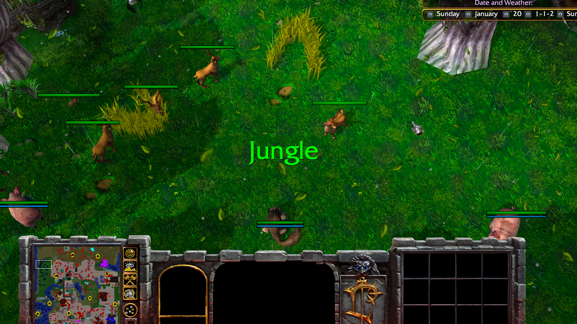 jungle.jpg