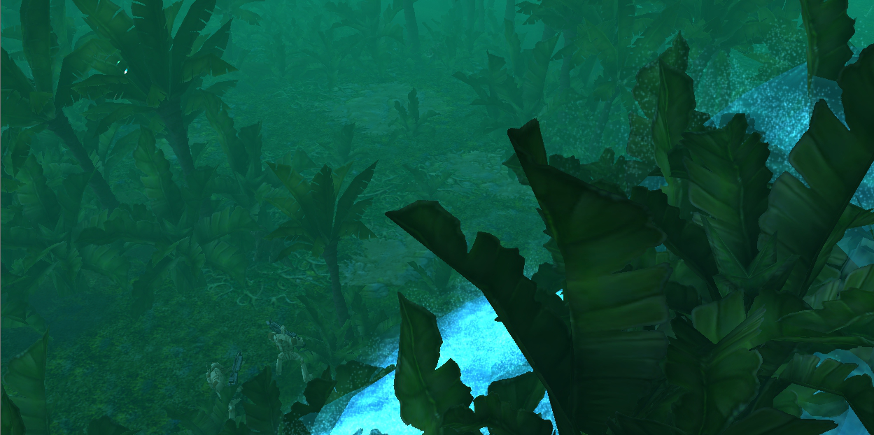 Jungle2