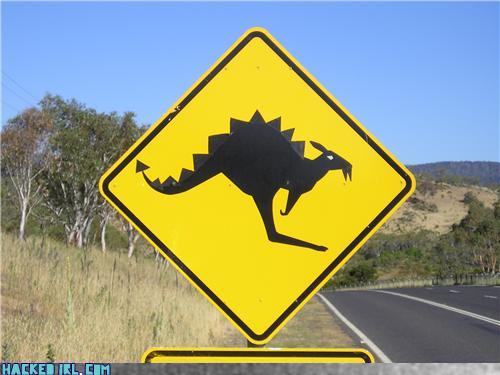 kangasaurus