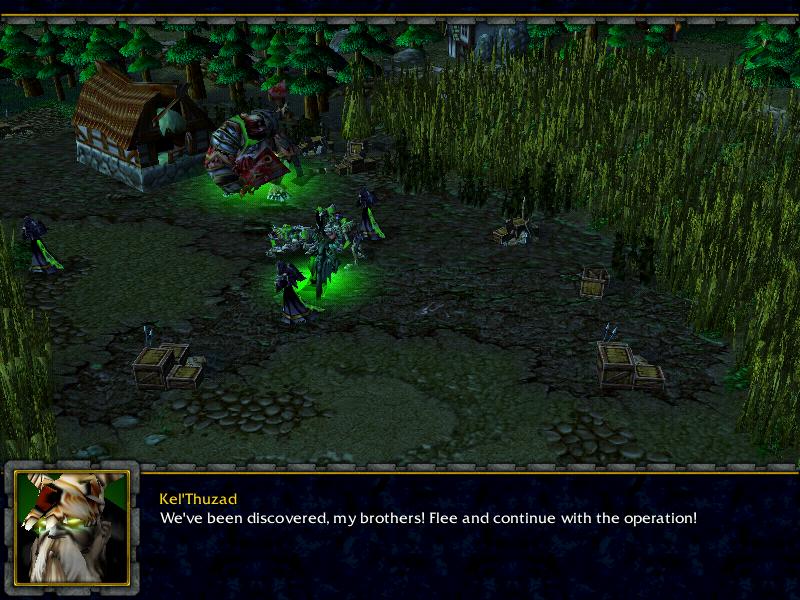 Kel'Thuzad and his lackeys during their cinematic. Notice the new units and the abomination boss.

Lore:
Stitch was one of the Abominations built b