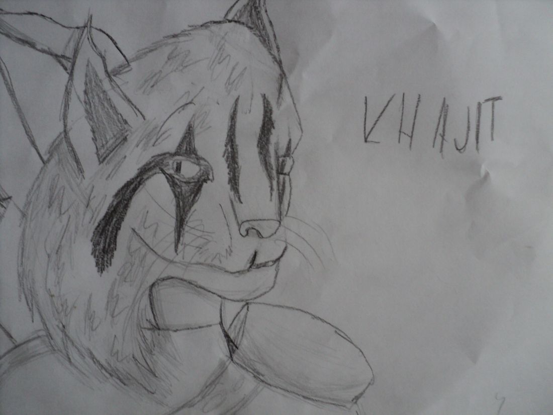 Khajit :)