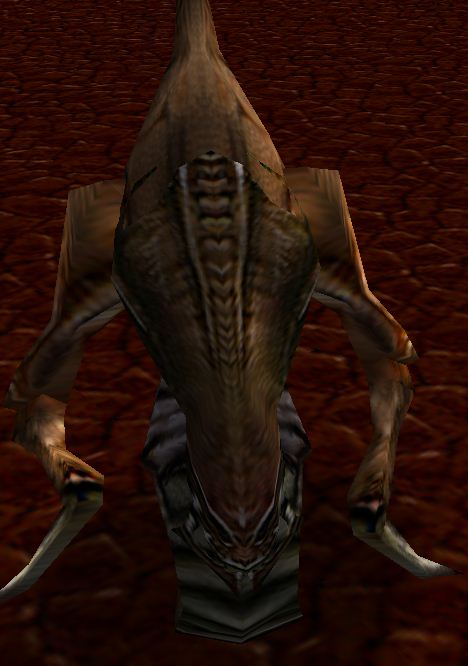 killer mantis