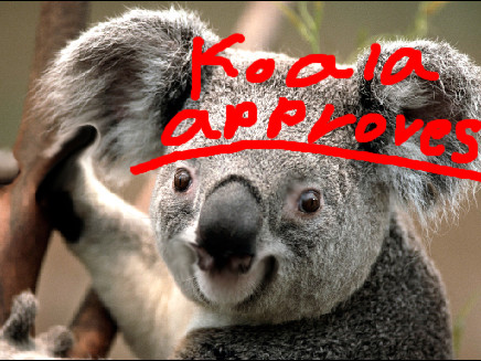 KoalaApproves!