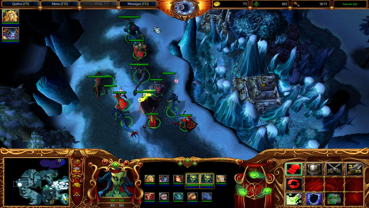 lichking1_small.jpg