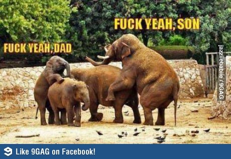 Like Father,like son