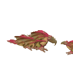 Lizard Dance