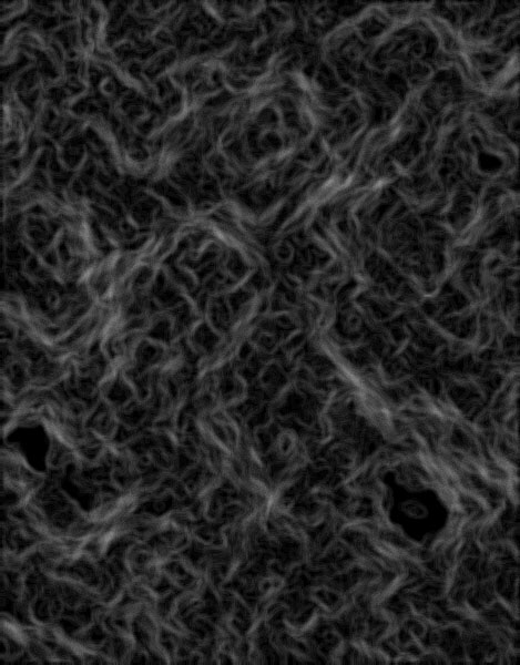 Look! it's a Fibre!