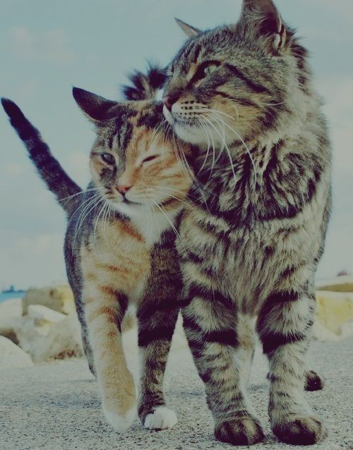 Love me