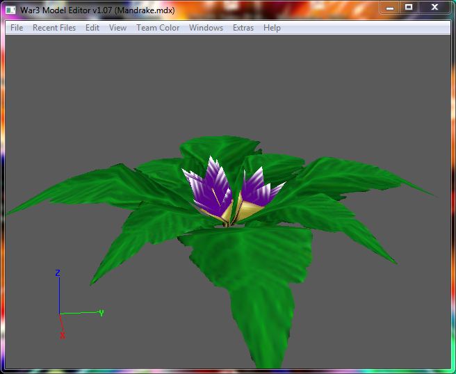 Mandrake Plant