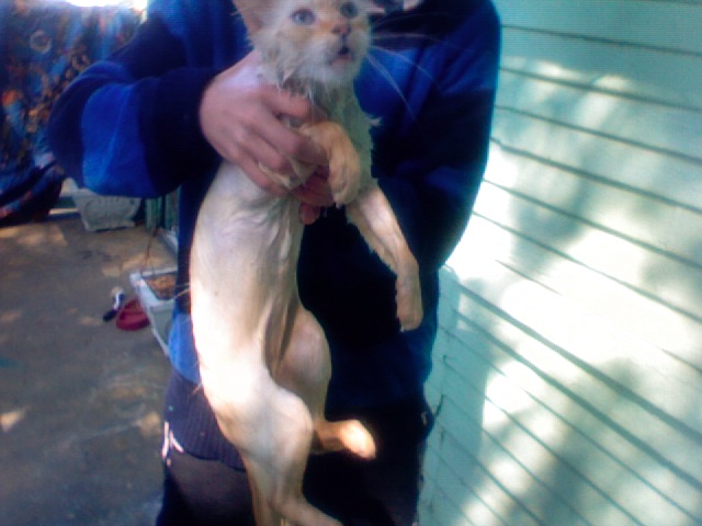 Me n' our cat. He has just taken a bath >_<