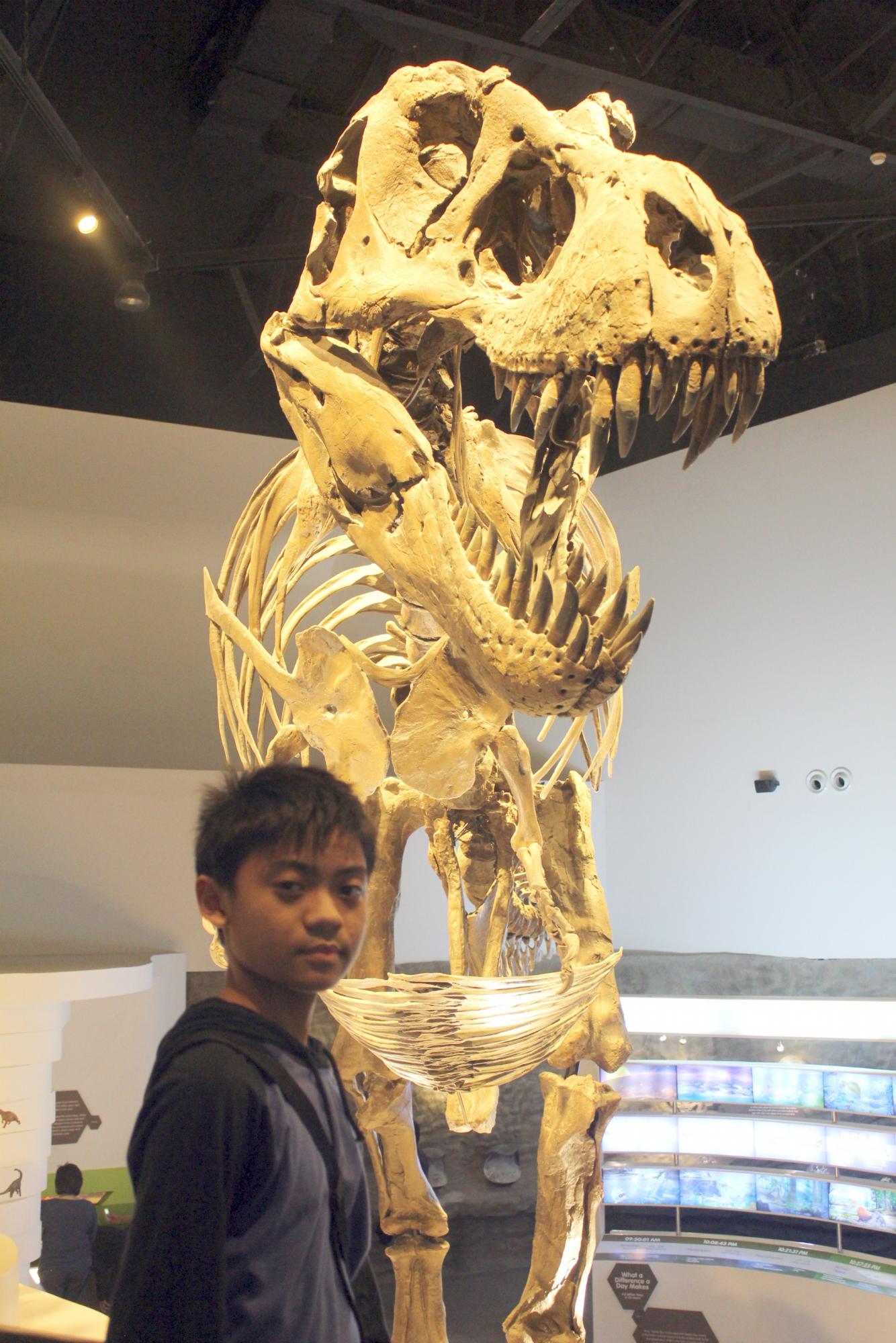 Me with a real T-Rex Fossil :)