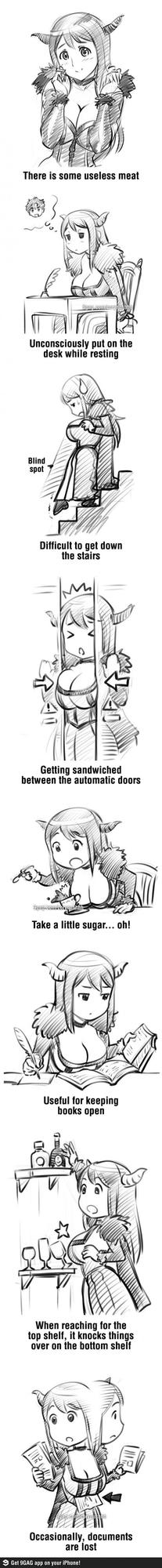 Meat