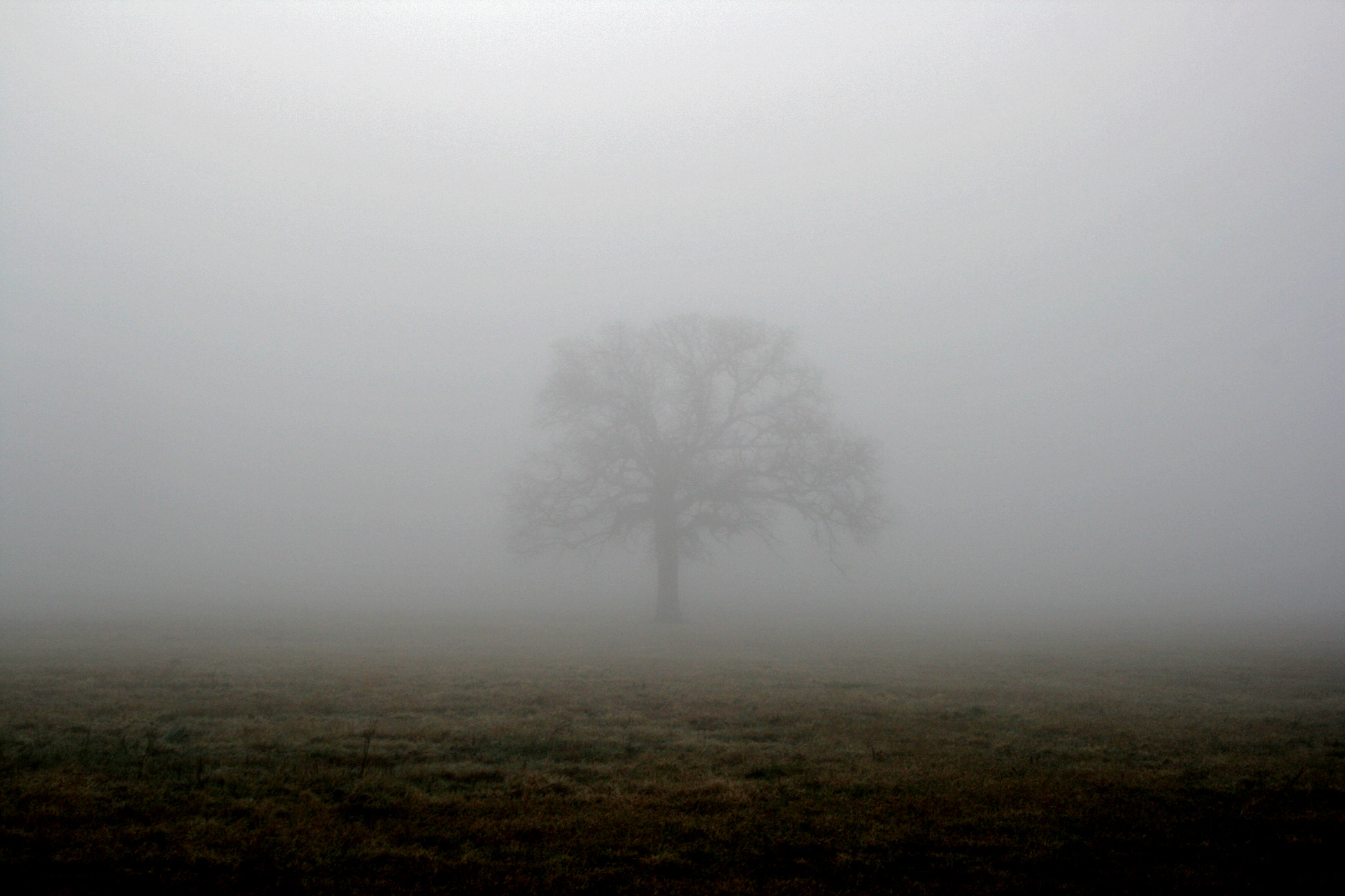 Mist