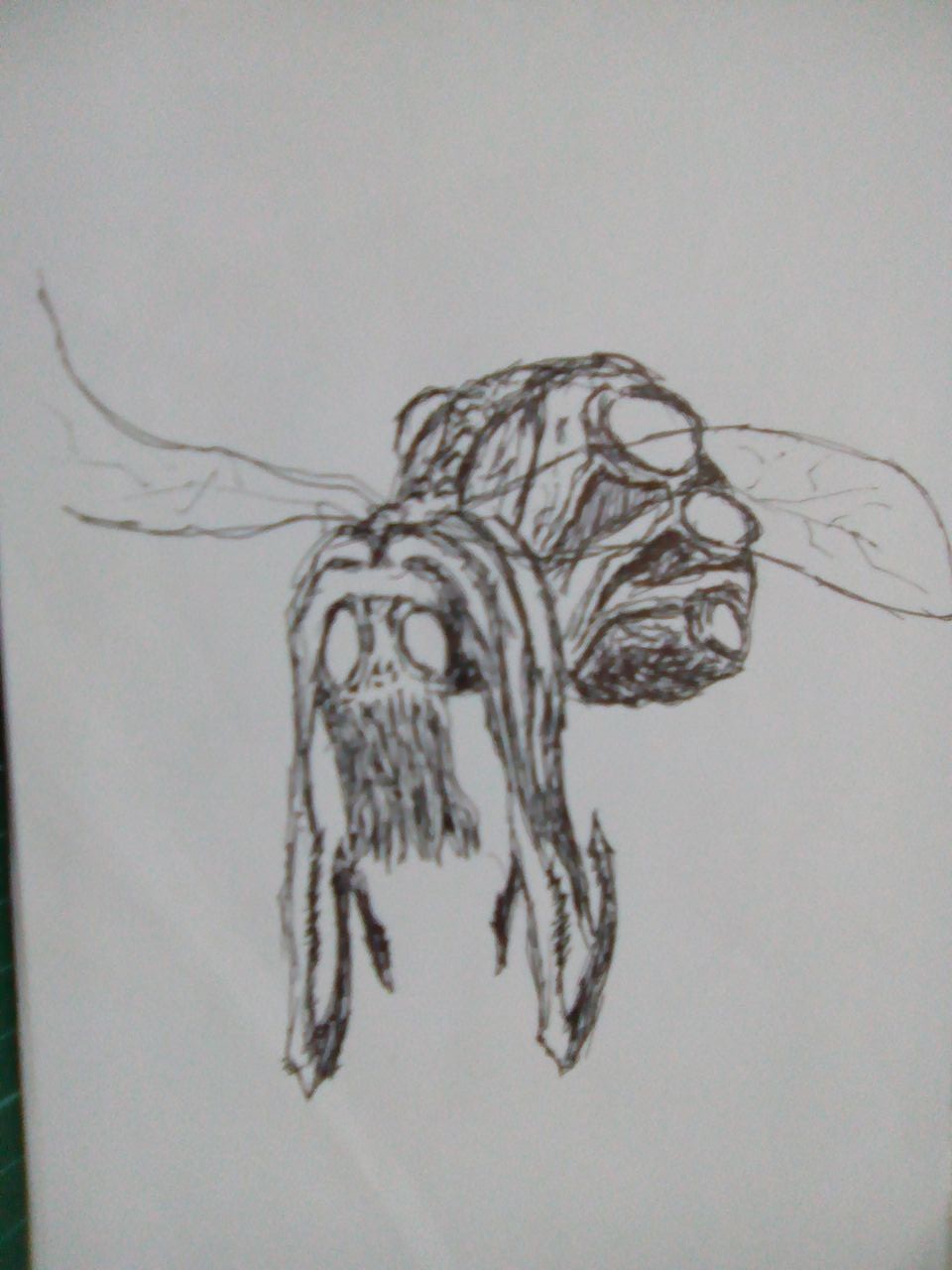 Monster Flying Insect