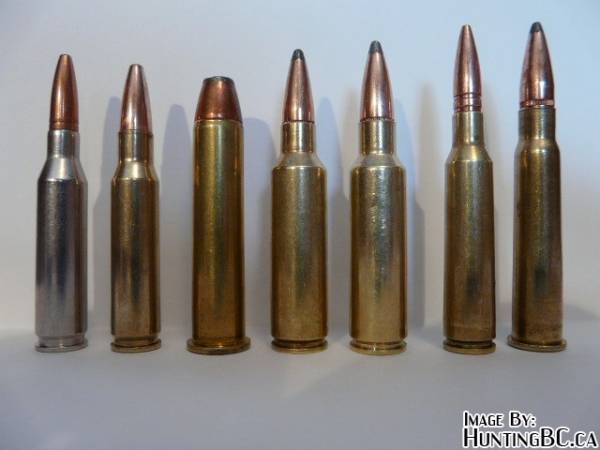 More random hunting rounds, several are wildcats and I can't identify a single one