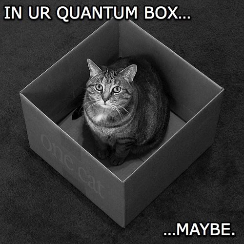 More Schrodinger's cat