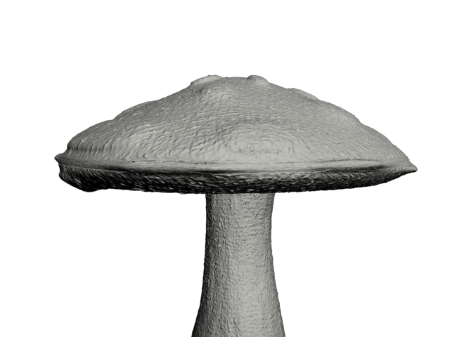 mushroom