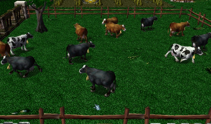 My Cows.jpg