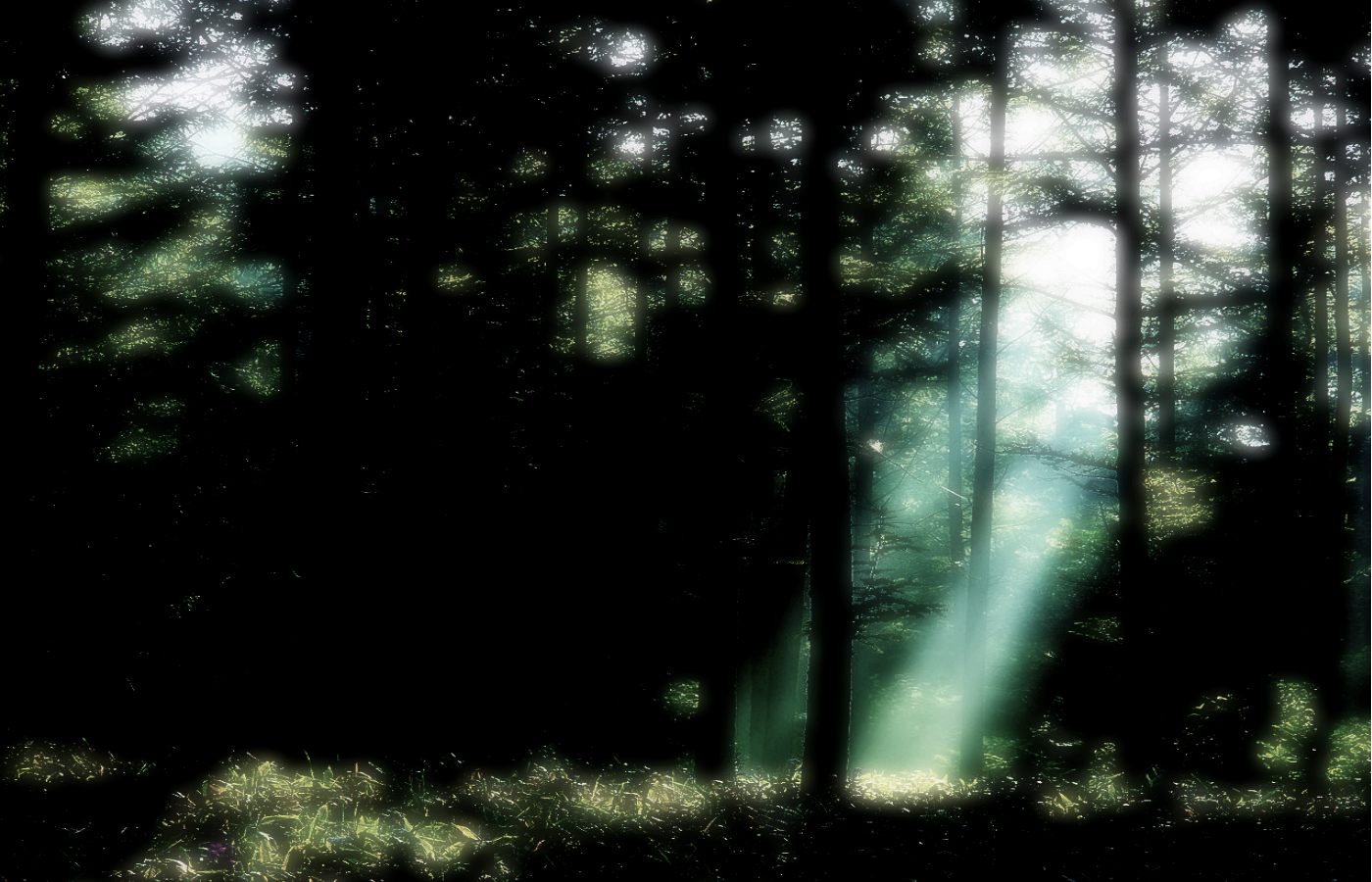 My current wallpaper. "Photoshopped" with Paint.net.