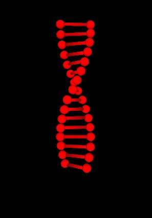 My DNA science project :D