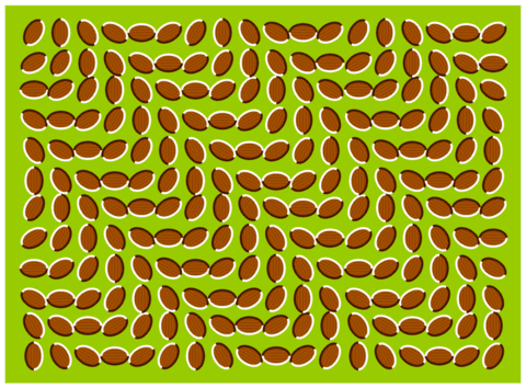 MY EYES!!!! OOHHHH... F**k!