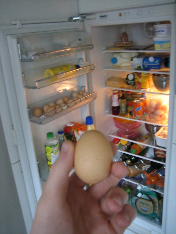My goddamn fridge.