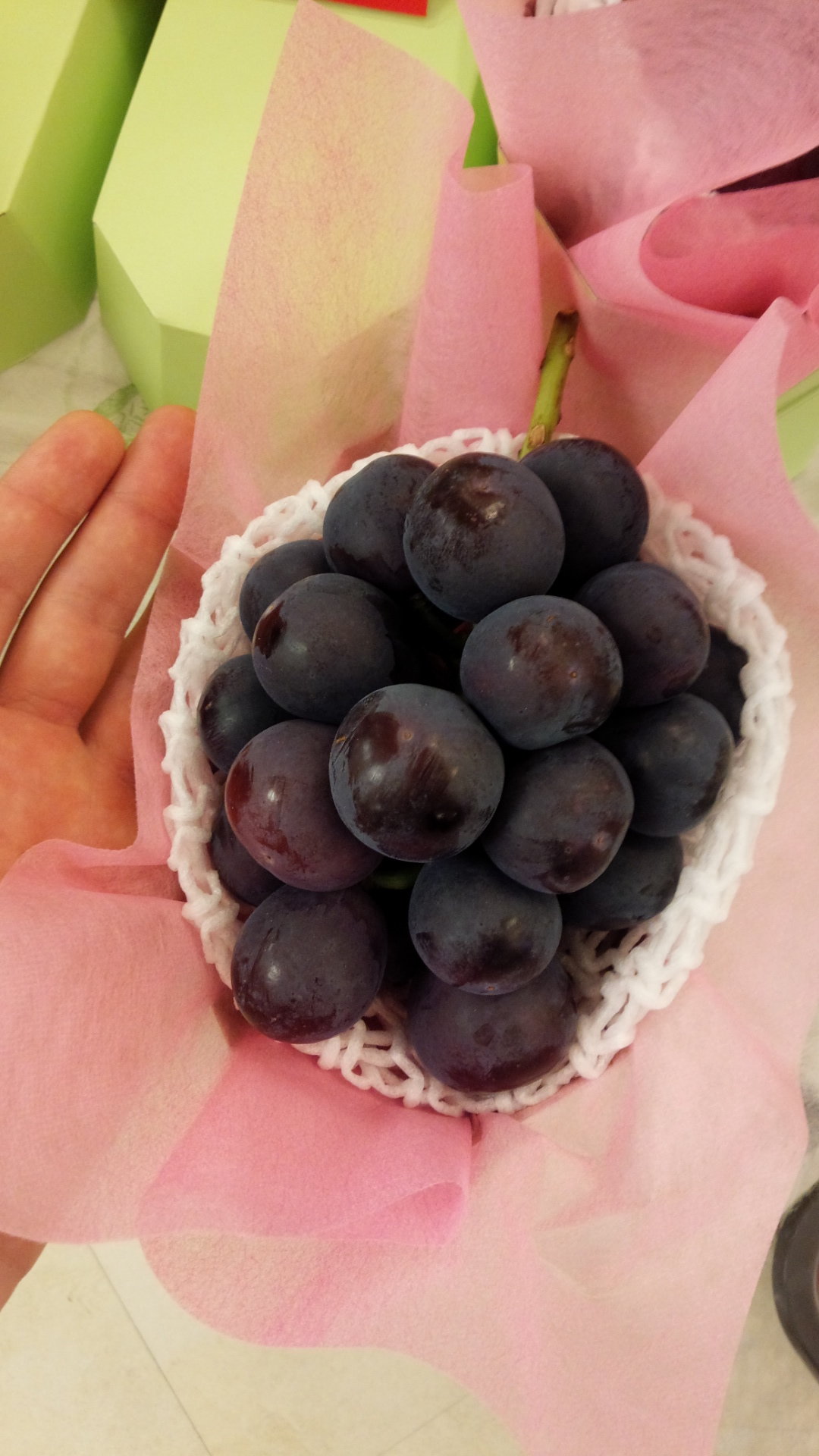 My hands are huge, which means this grape is
freaking huge!
