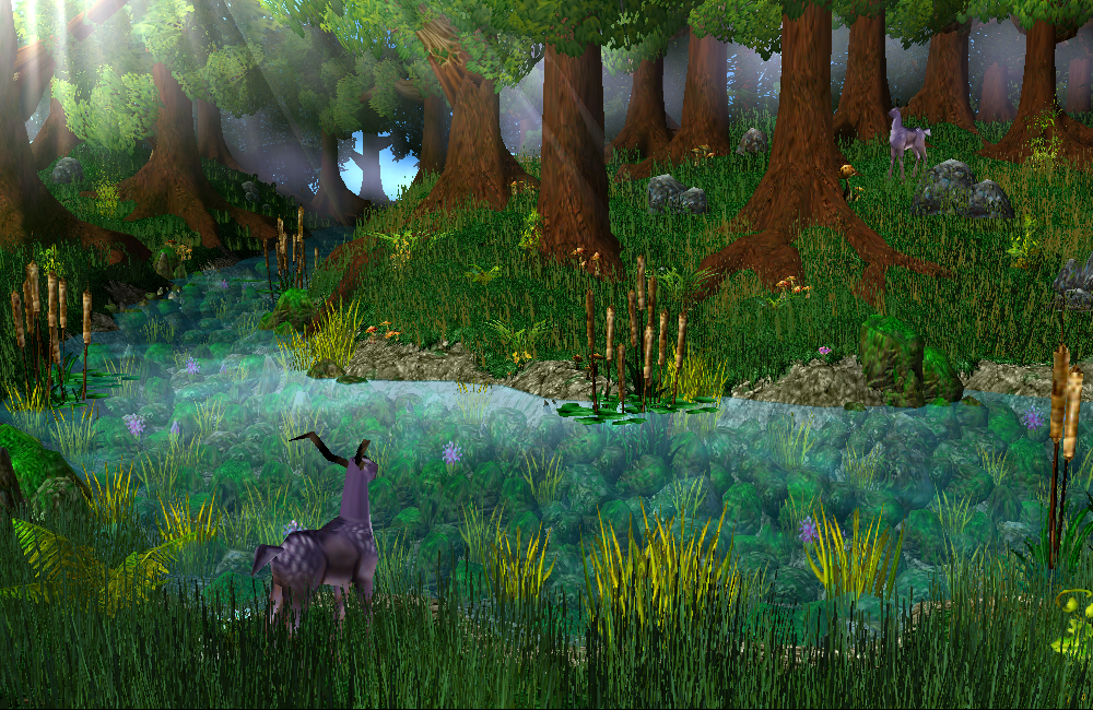 Mystic Forest