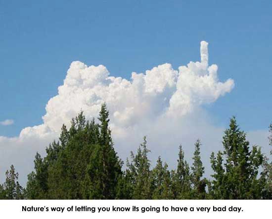 Nature