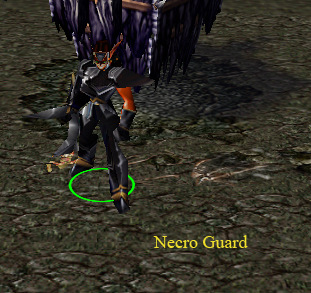 Necro Guard