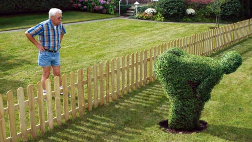 neighbours