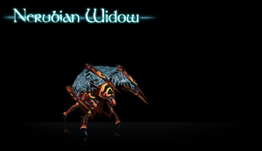 Nerubian Widow
