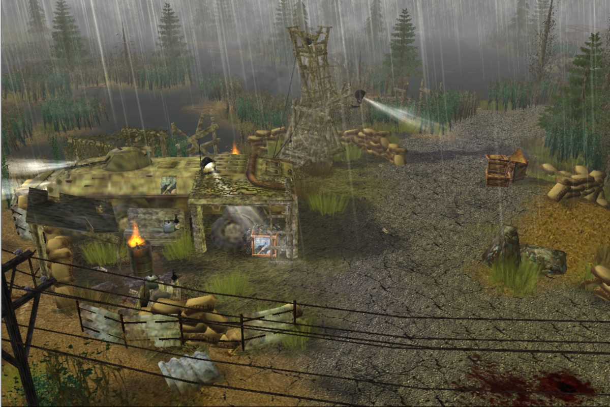 Neutral camp on swamps