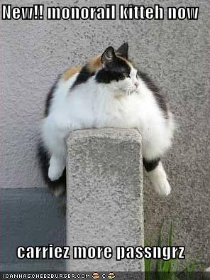 new monorail kitteh