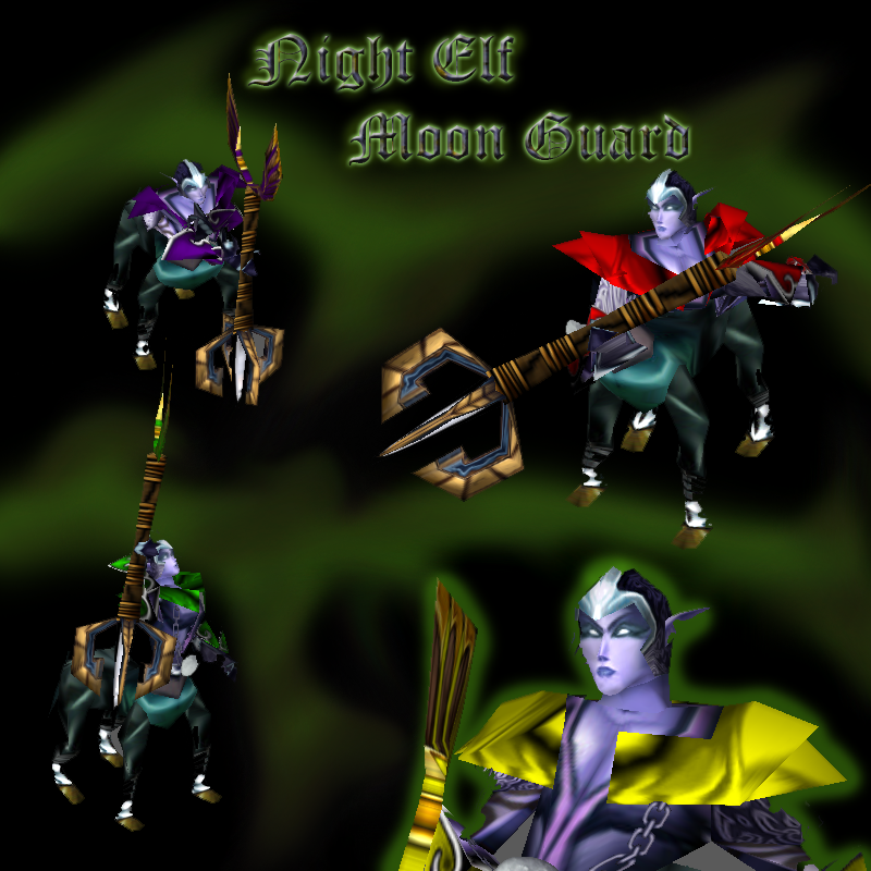 Night Elf Moon Guard, for DonDustin.