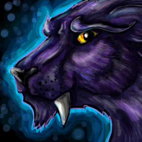 NightElfCat