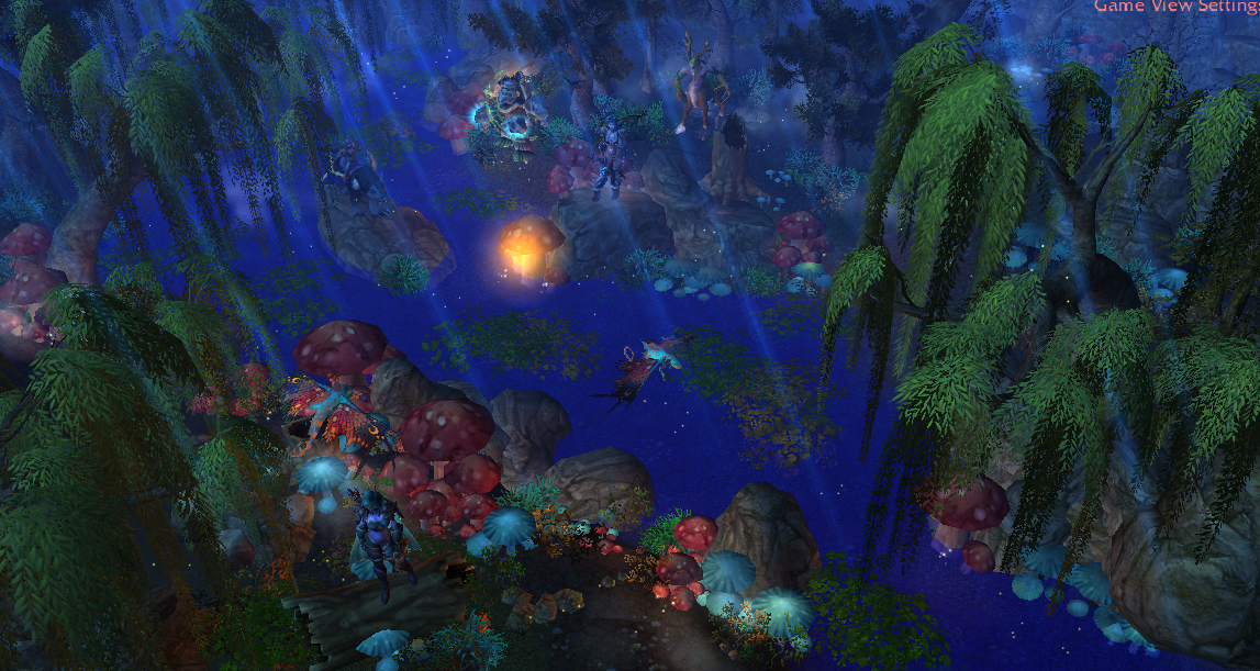 NightElves Meeting