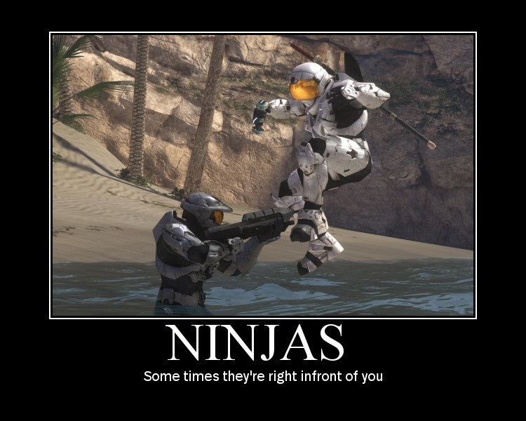 Ninjas 1