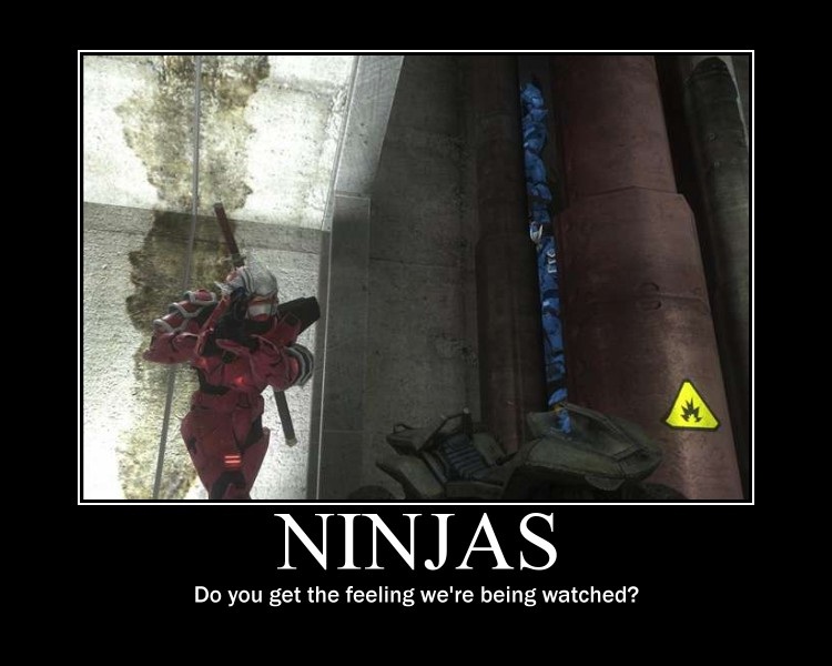 Ninjas 2