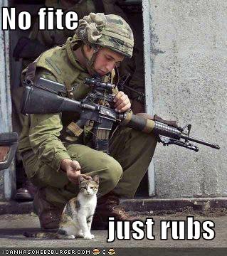 No fite, just rubs