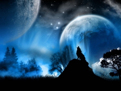 noite e lobo wallpaper 11288