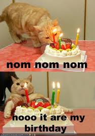 Nom nom nom Cake