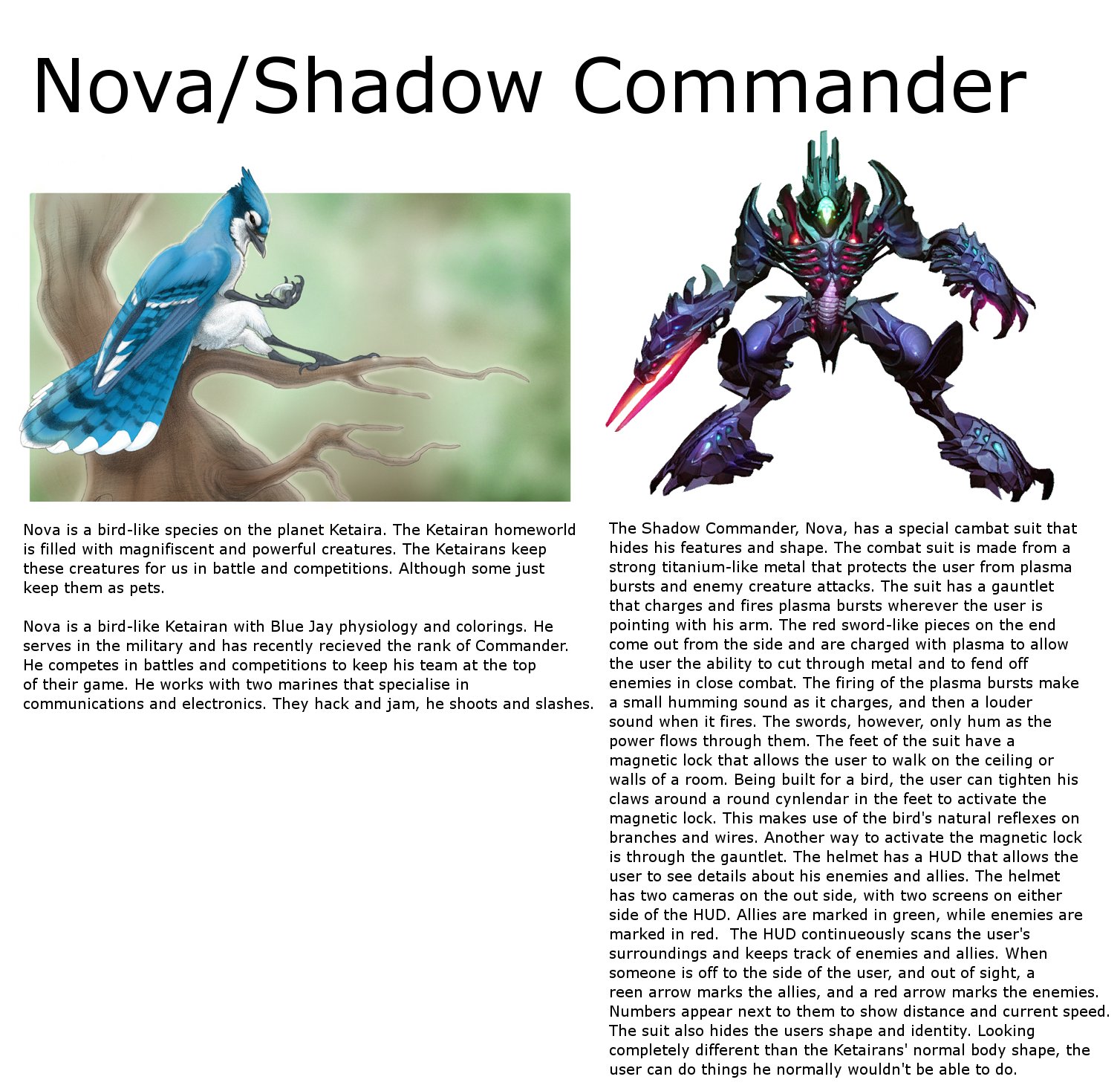 Nova A.K.A. the Shadow Commander. same character. XD