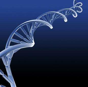 oO DNA?