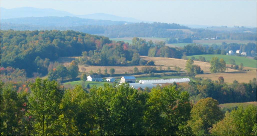 Our Farm