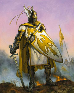 Paladin in the battle