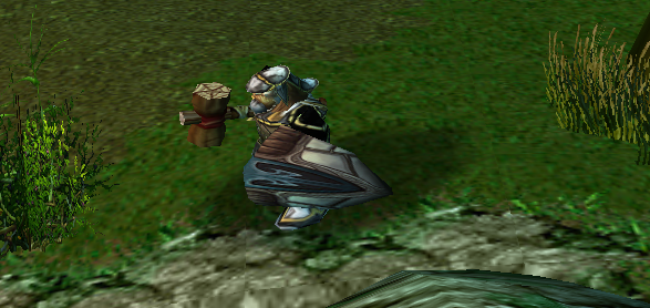 Paladin with some equipment