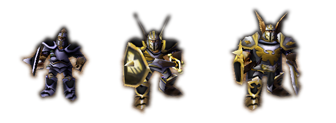 Paladins