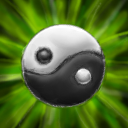 PandaAura